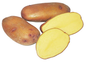 Картопля насіннева Случ 1 кг