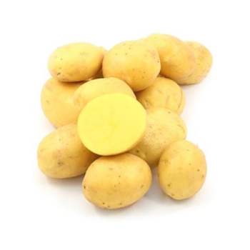 Картопля насіннева Саншайн 1 кг