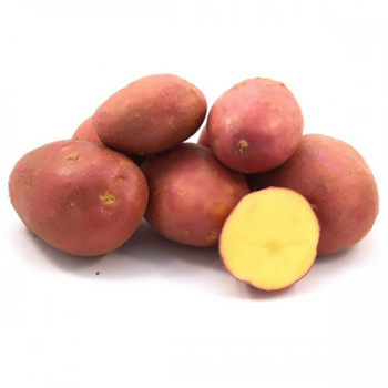 Картопля насіннева Тирас 1 кг