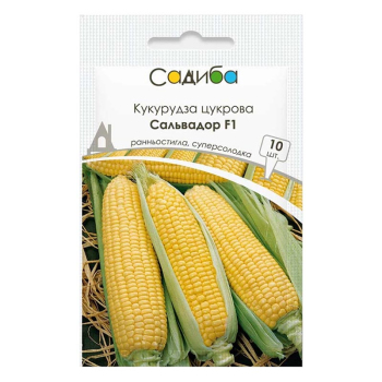 Кукурудза цукрова Сальвадор F1, Садиба, 10 шт