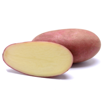 Картофель семенной Рикарда 1 кг