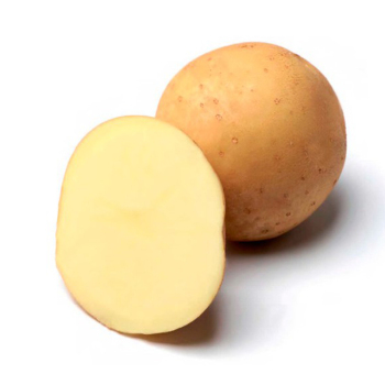 Картопля насіннева Отолія 1 кг