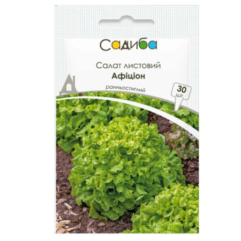Салат Афицион 30 шт, Садыба Центр