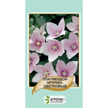 Платикодон крупноцветковый, розовый 50 шт, Агропакгруп