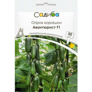 Огурец Авантюрист F1, 50 сем. Садыба