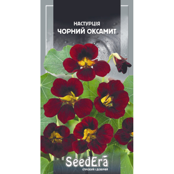 Настурция Черный бархат, 1 г, Seedera