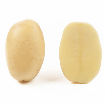 Картопля насіннева Маверік 1 кг