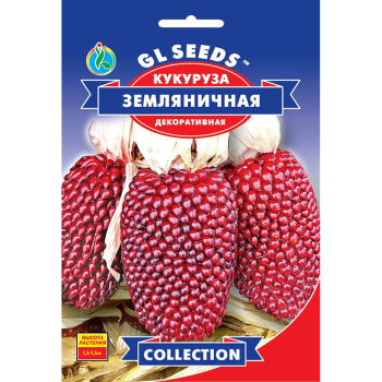 Кукурудза Сунична, 10 шт, GL Seeds