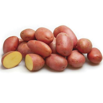 Картофель семенной Ред Скарлет 1 кг
