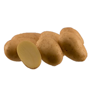 Картопля насіннева Арізона 1 кг