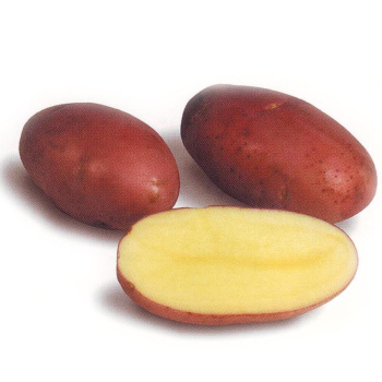 Картофель семенной Лабелла 1 кг