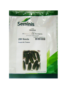 Огурец Маша, 250 шт, Seminis