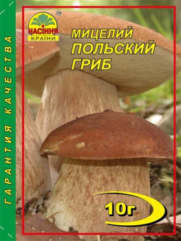 Міцелій Польский гриб, 10 г