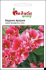Годеція азалієвидна Південна Красуня, 0,2 г, Садиба Центр