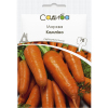 Морковь Кампино, 10 г, СЦ Традиция