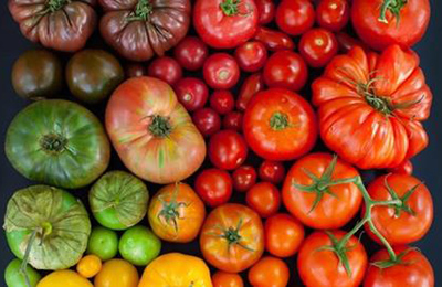 різнокольорові томати